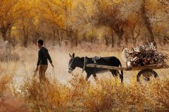 北京私家車運輸，讓你實現說走就走的旅行