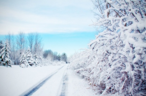 冬季出游，輕松愉悅的旅行方式—汽車托